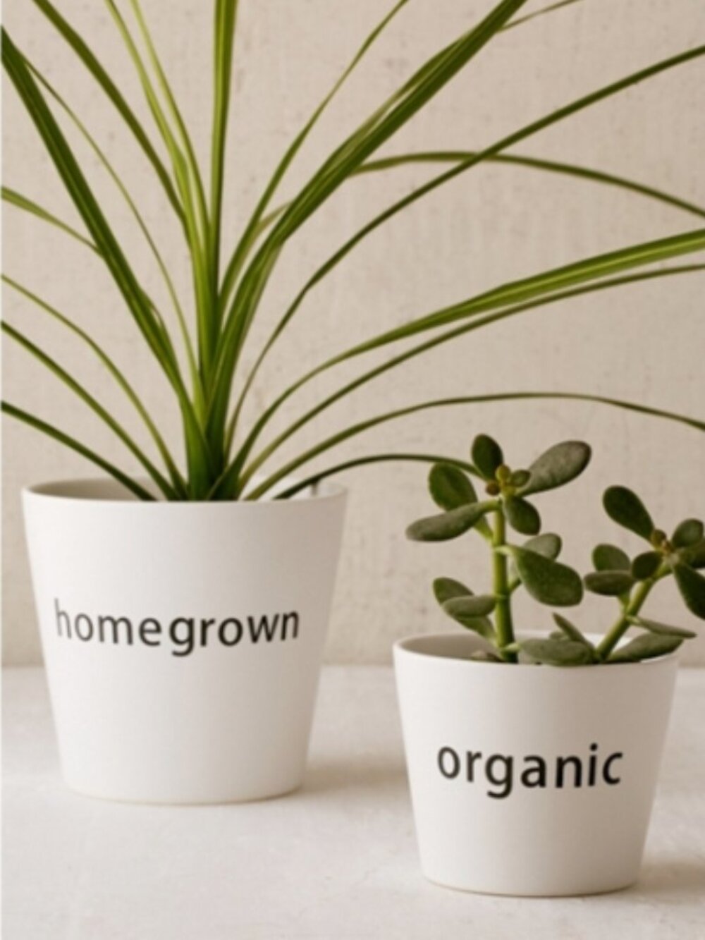 Urban Outfitters planter set/ homegrown/ organic